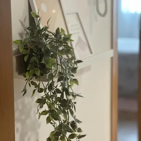 Vista Norte Barreiros